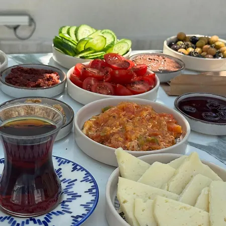 酒店 阿多斯酒店 Çeşme